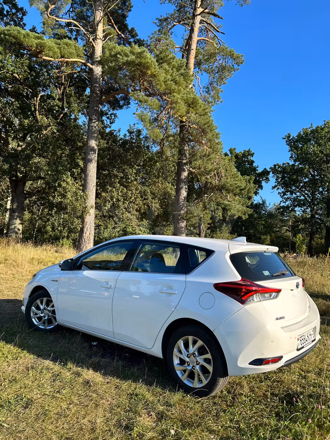 Toyota Auris фото 3