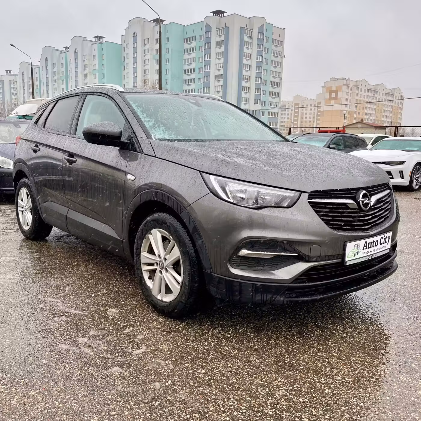 Opel Grandland X фото 3
