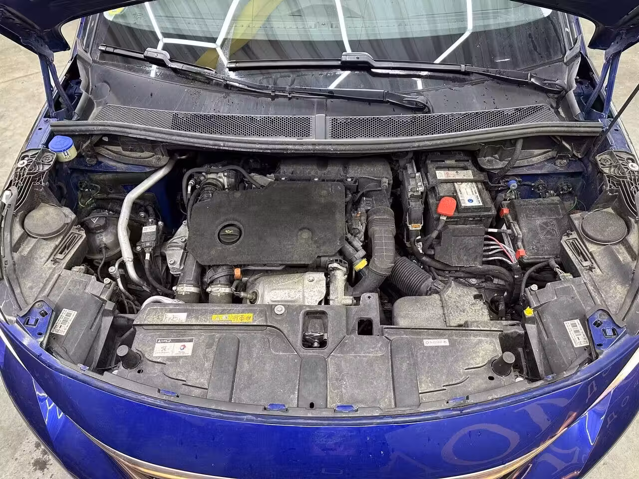Peugeot 3008 фото 20