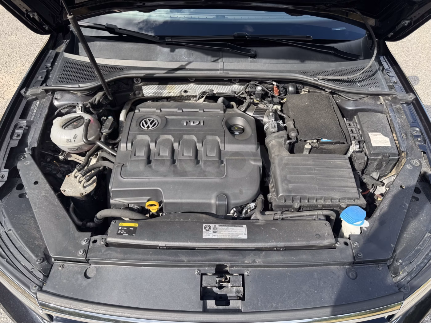 Volkswagen Passat фото 2