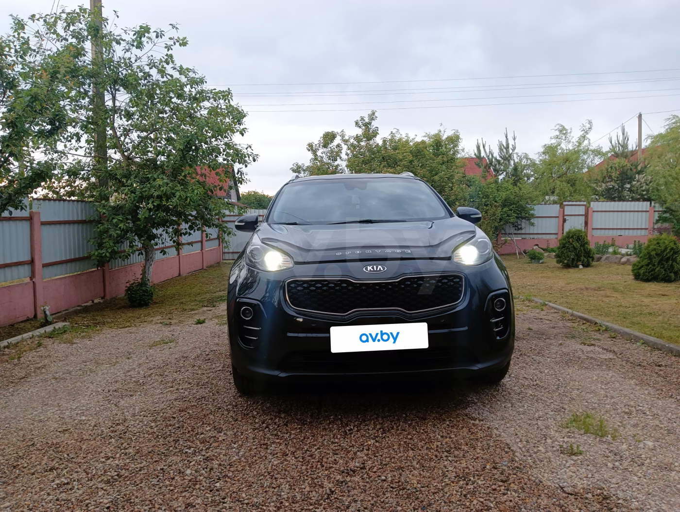 Kia Sportage фото 4
