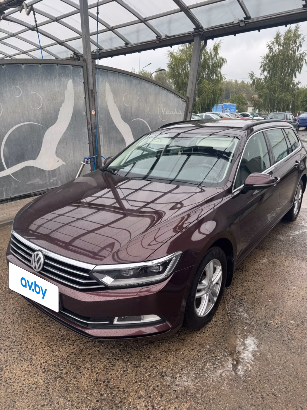 Volkswagen Passat фото 19