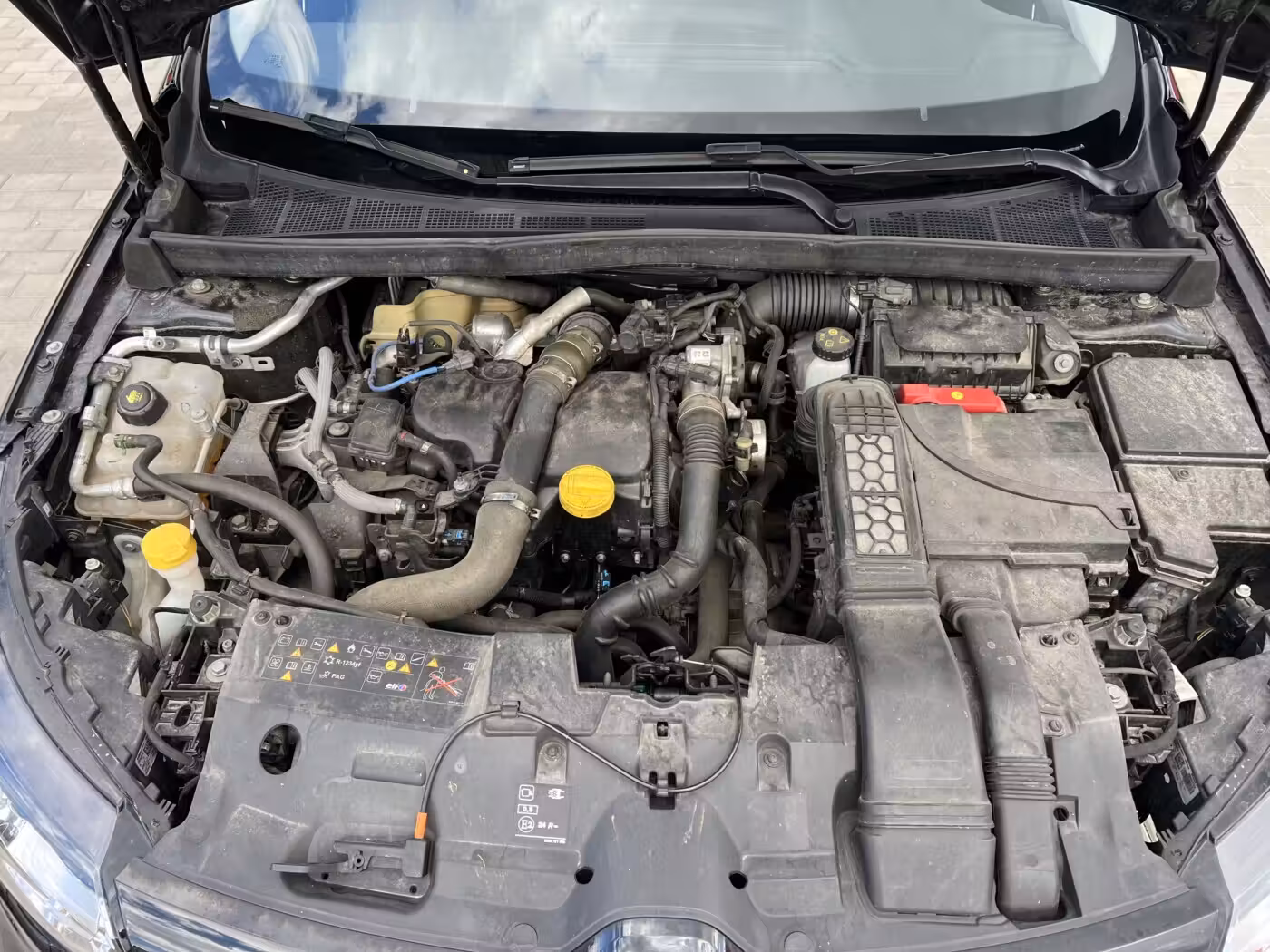 Renault Megane фото 9