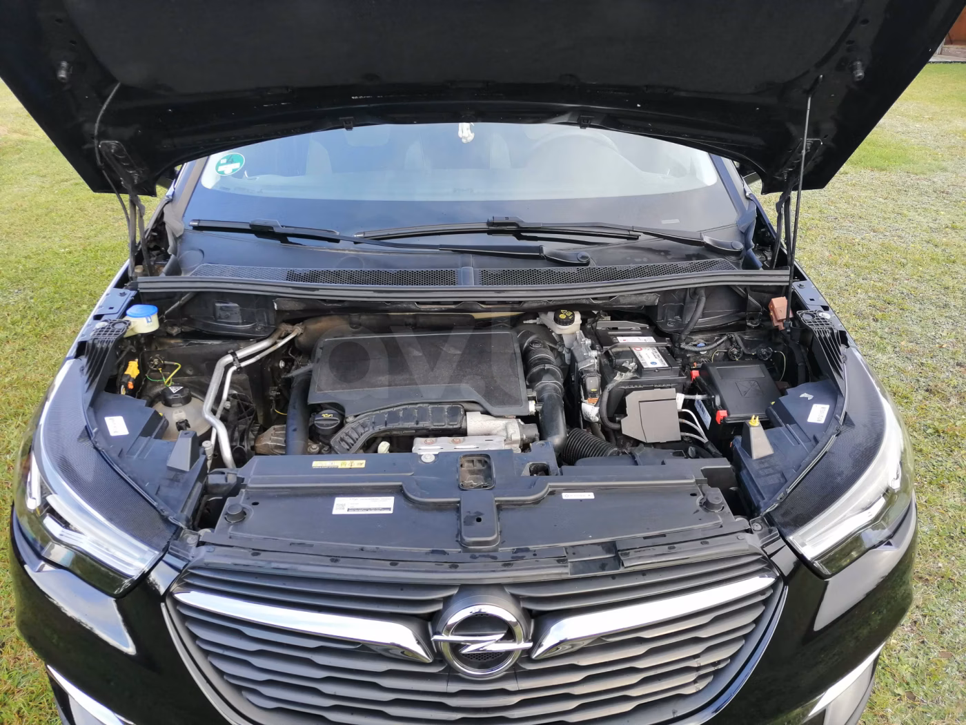 Opel Grandland X фото 14