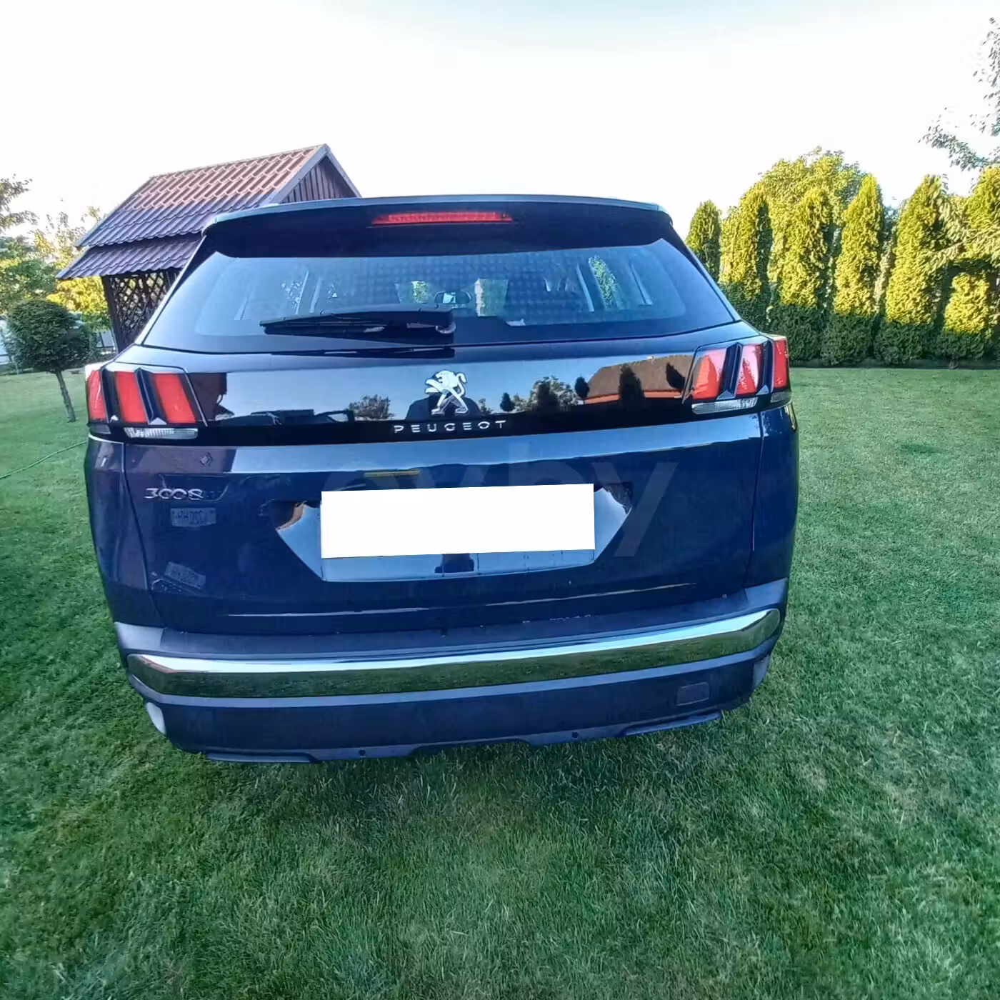 Peugeot 3008 фото 11