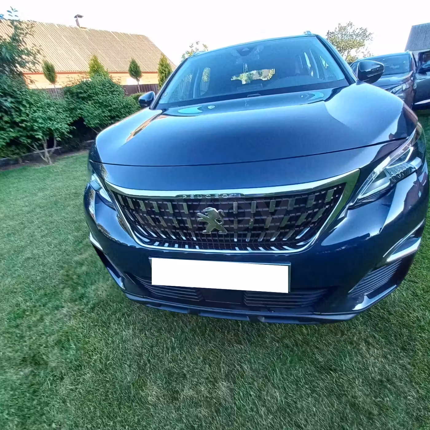Peugeot 3008 фото 17
