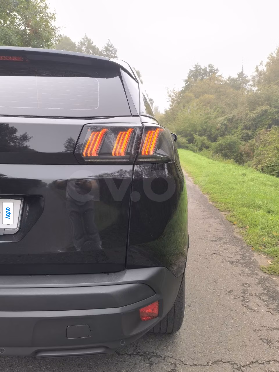 Peugeot 3008 фото 8