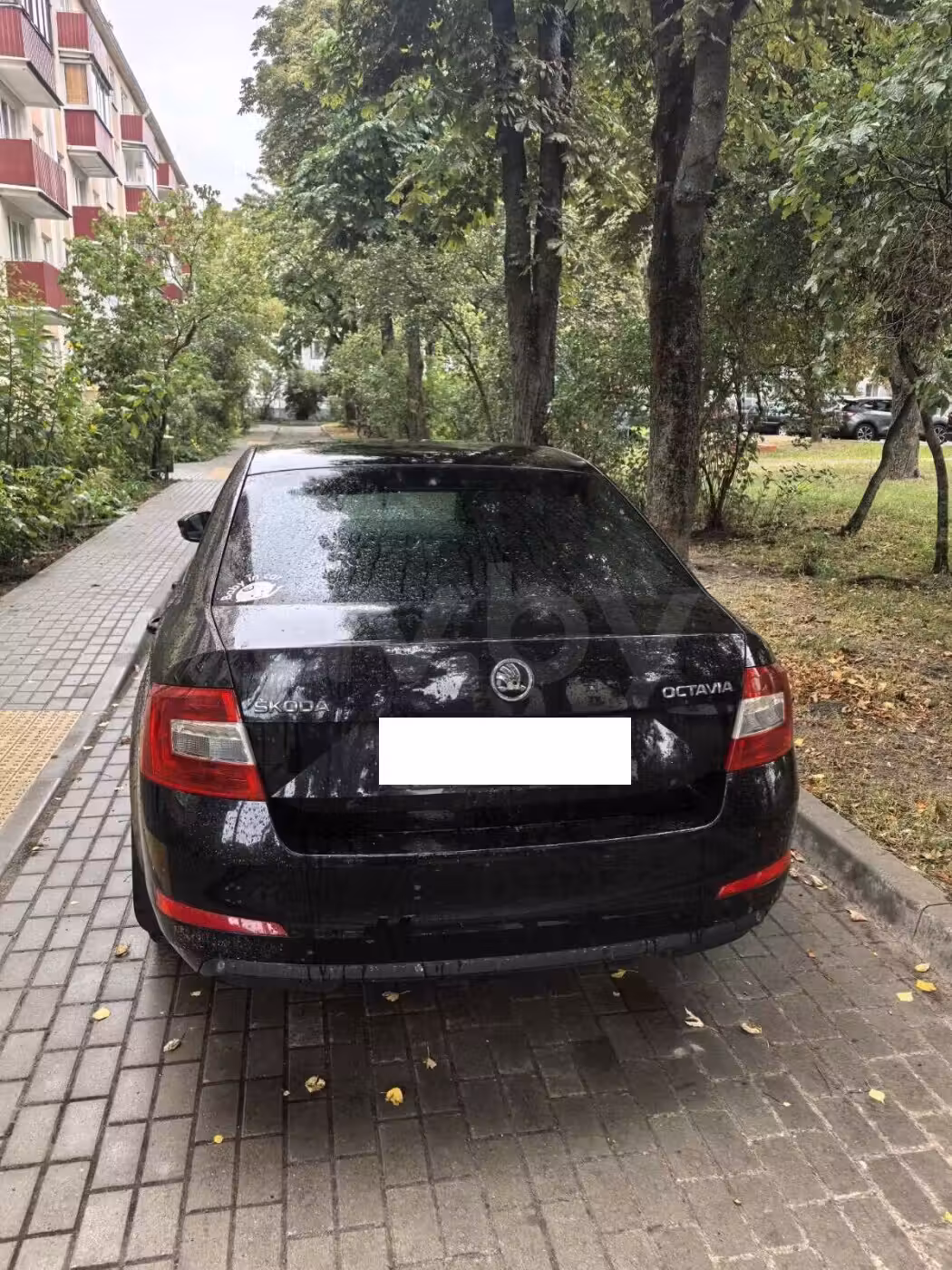Skoda Octavia фото 2