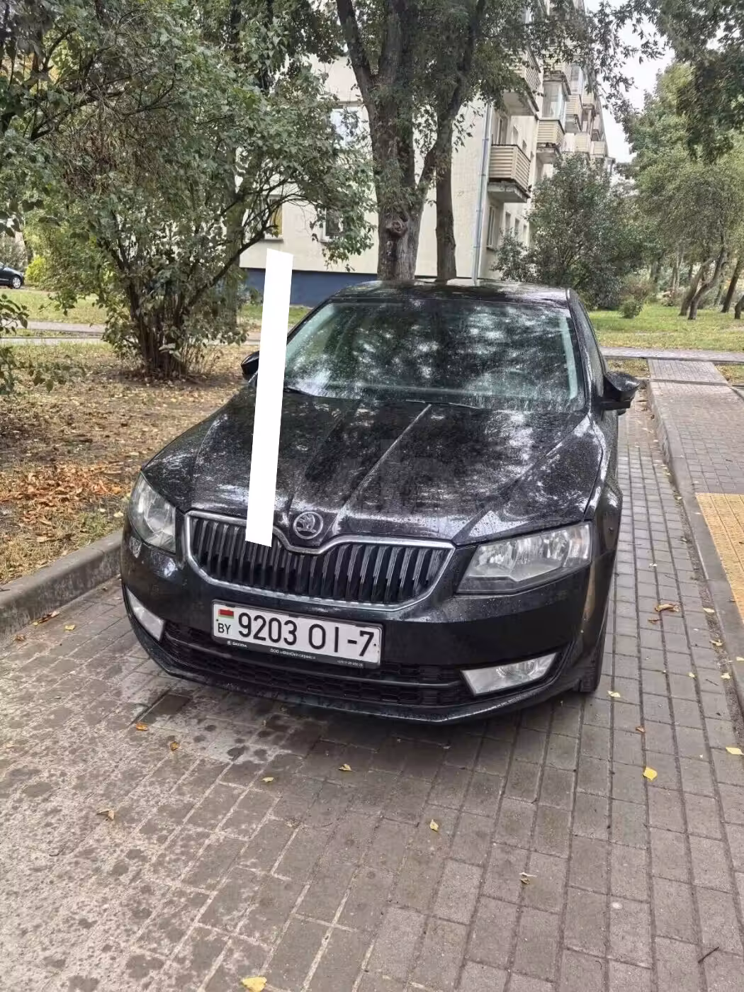 Skoda Octavia фото 3