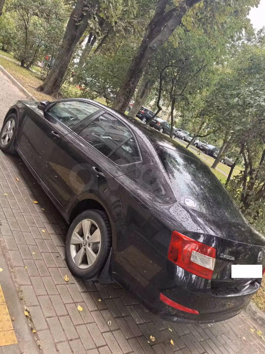 Skoda Octavia фото 4