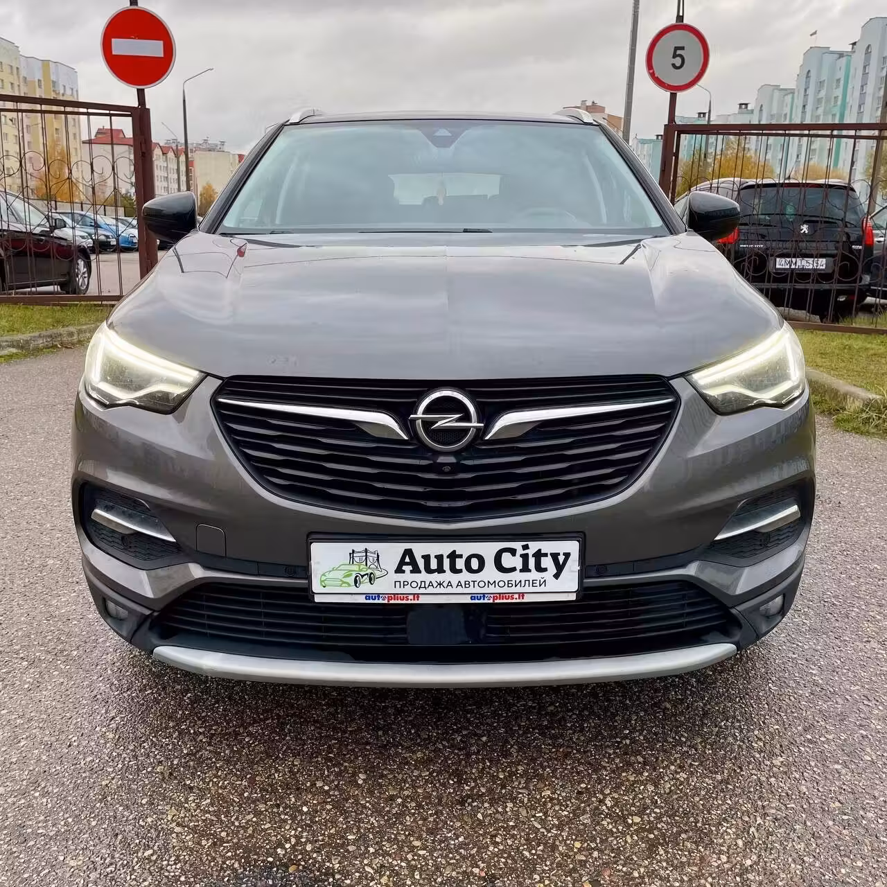 Opel Grandland X фото 2