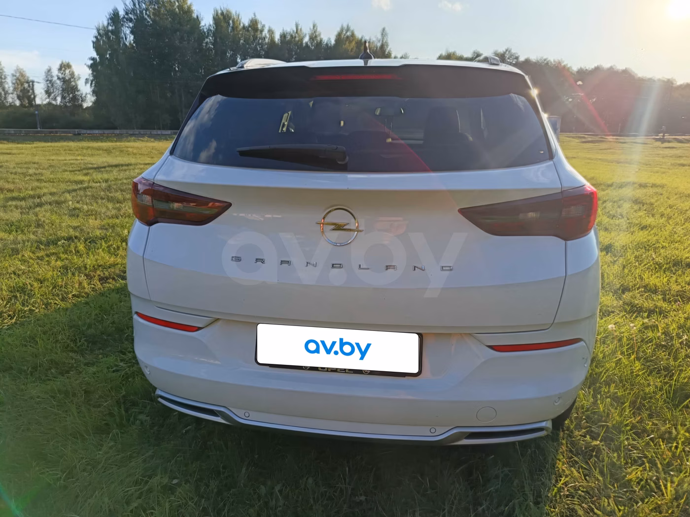 Opel Grandland X фото 3