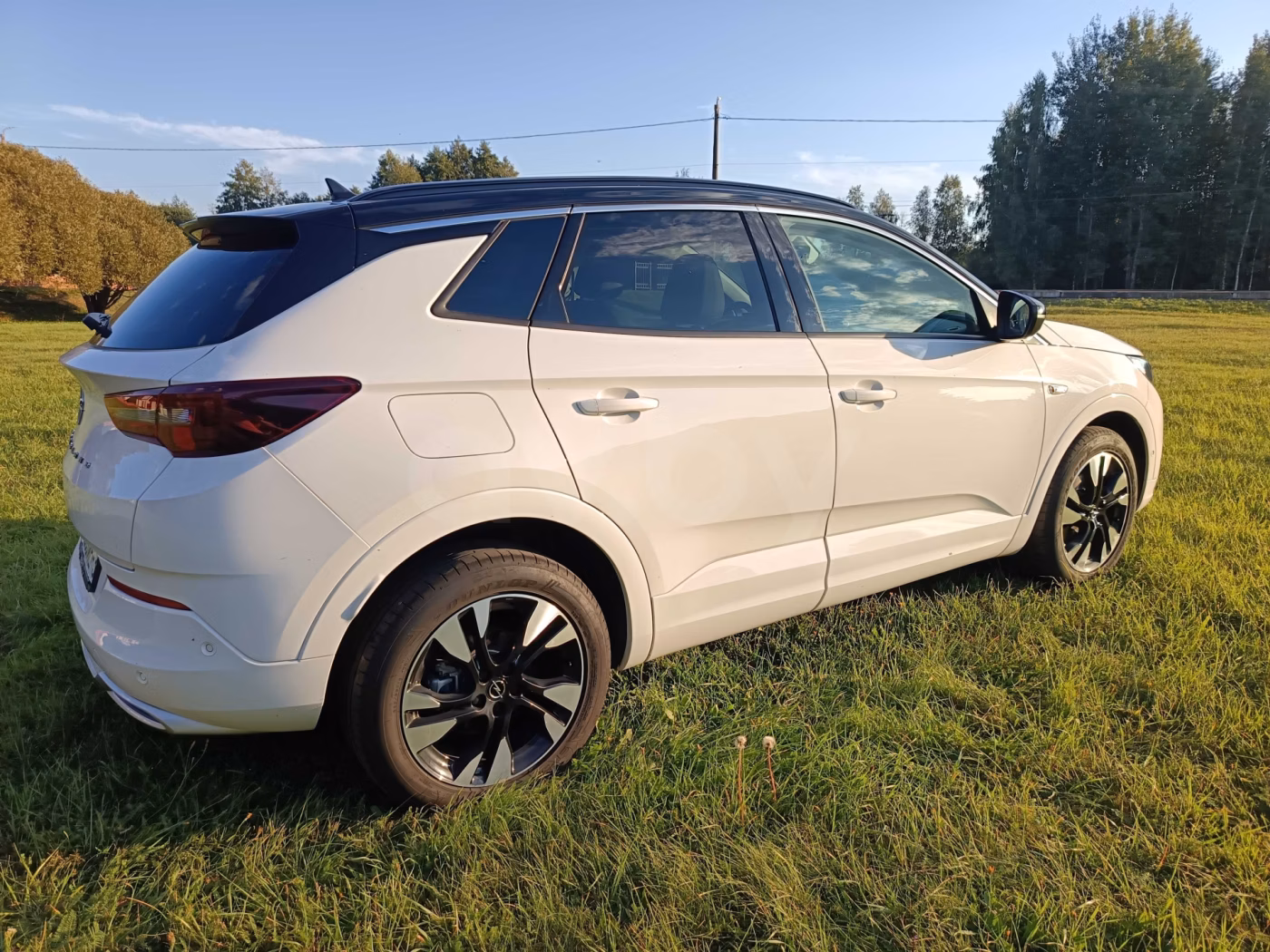 Opel Grandland X фото 5