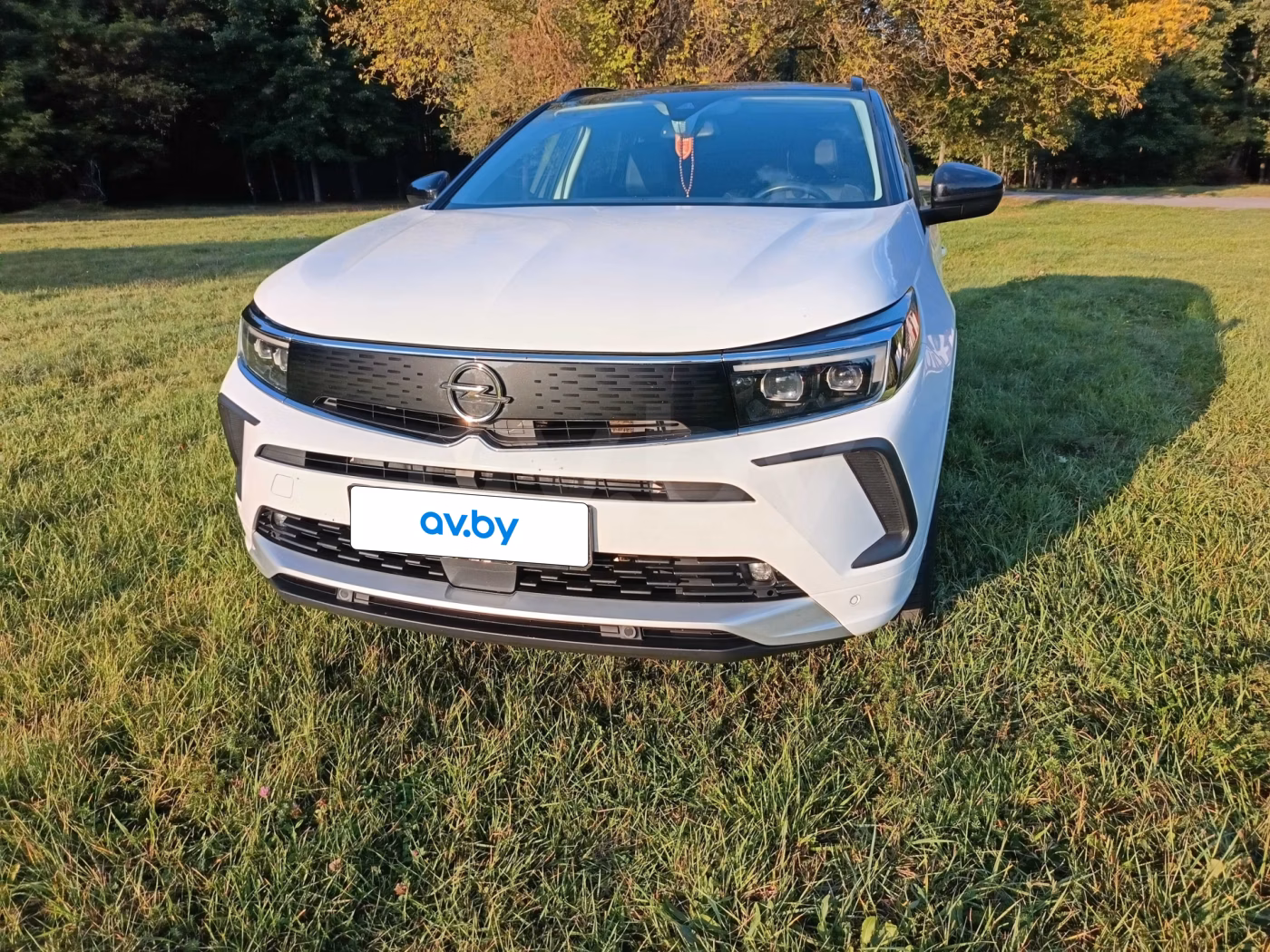 Opel Grandland X фото 6