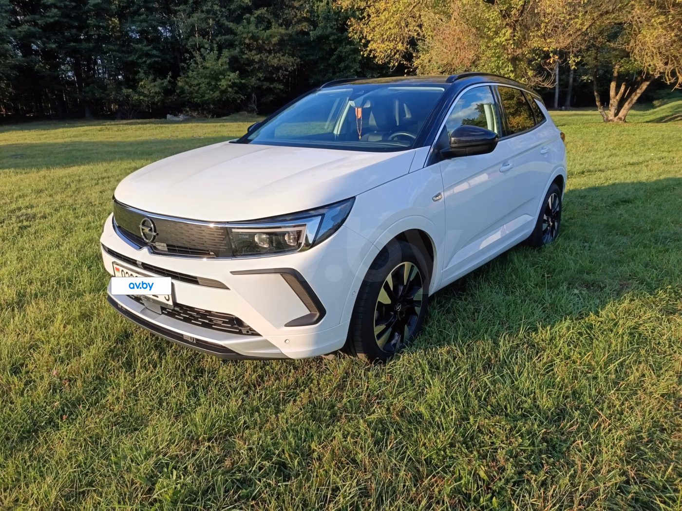 Opel Grandland X фото 7