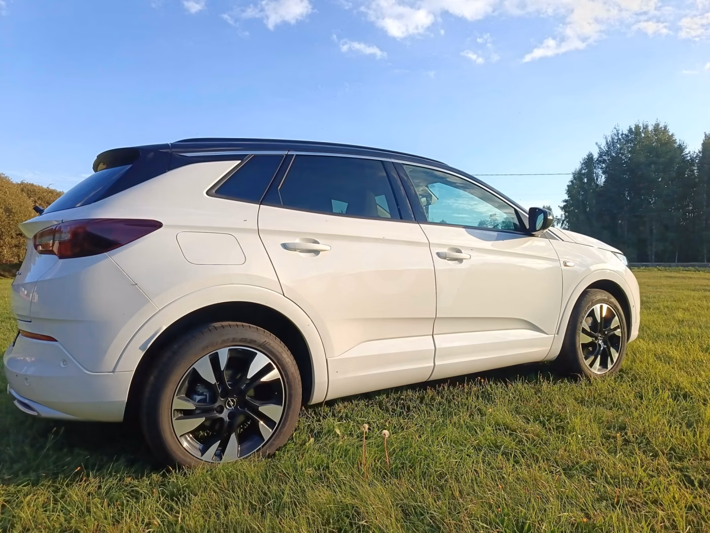 Opel Grandland X фото 8