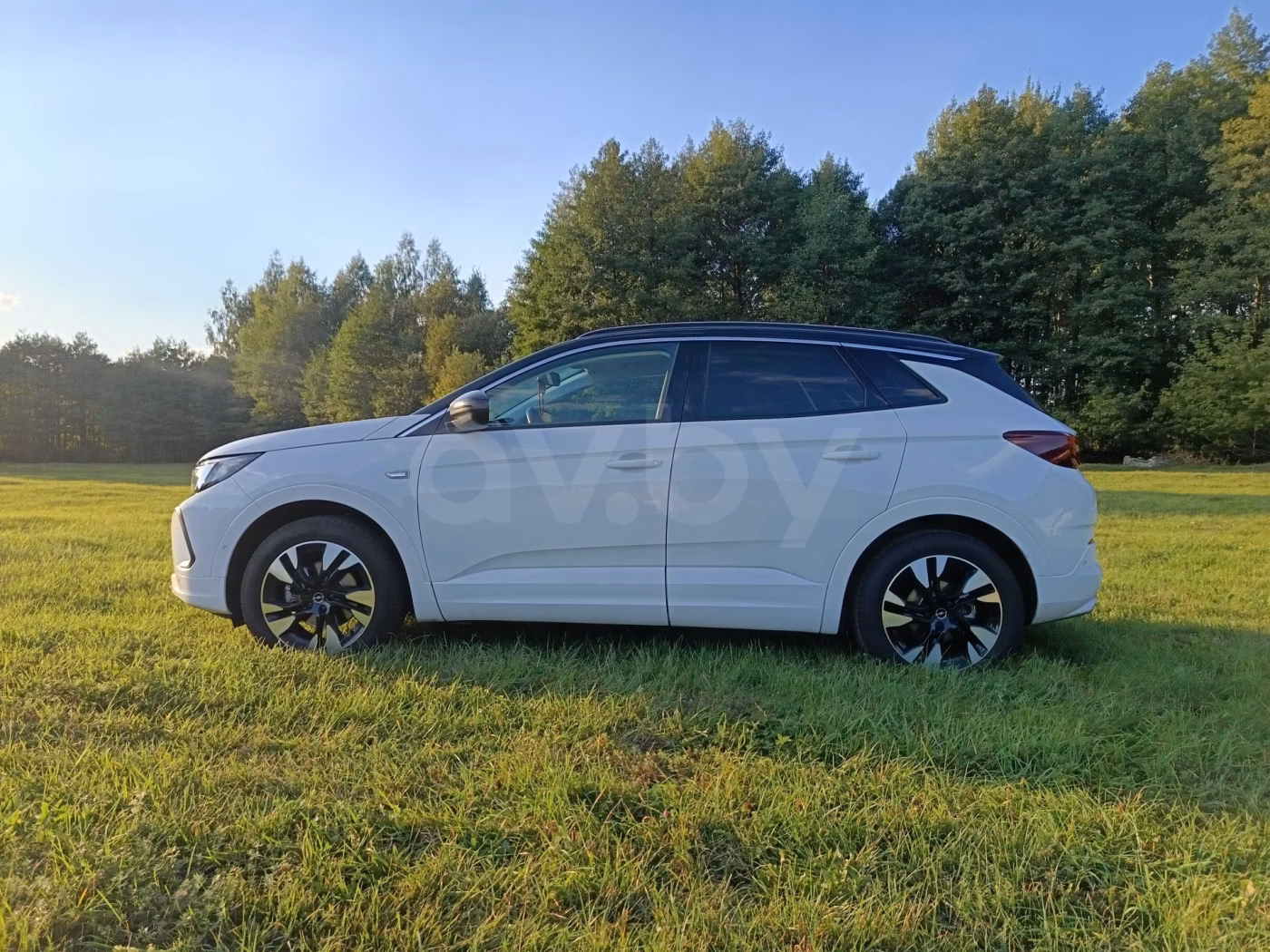 Opel Grandland X фото 10