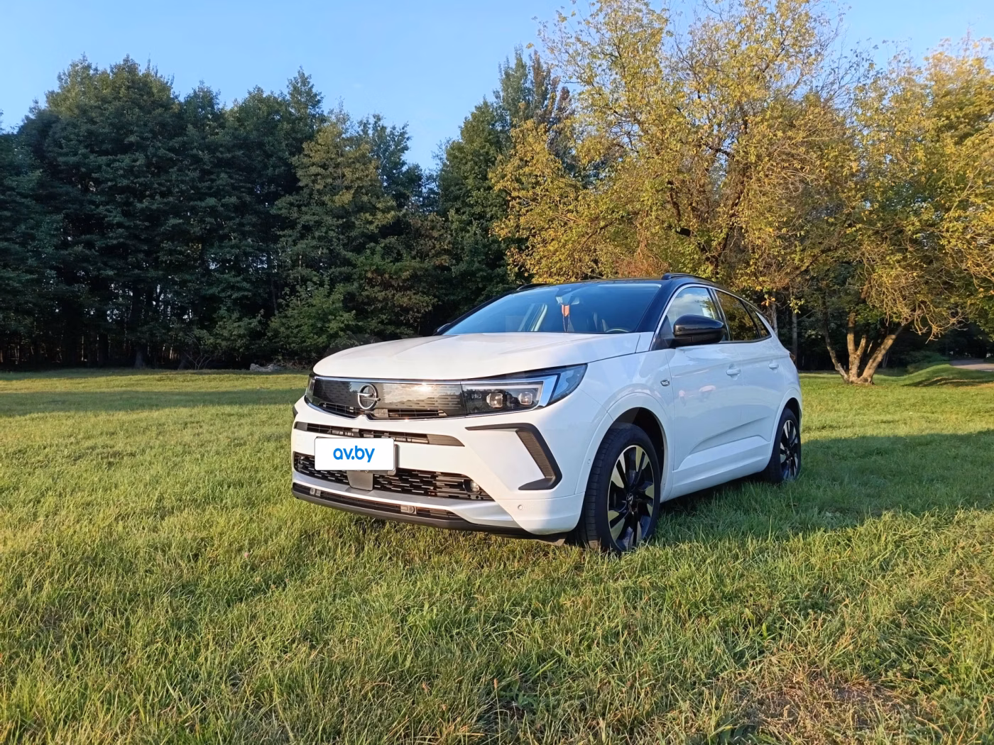 Opel Grandland X фото 11
