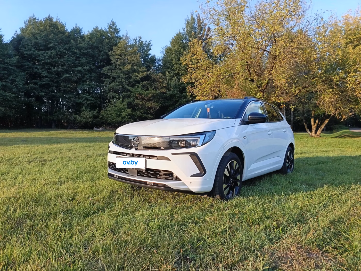 Opel Grandland X фото 12
