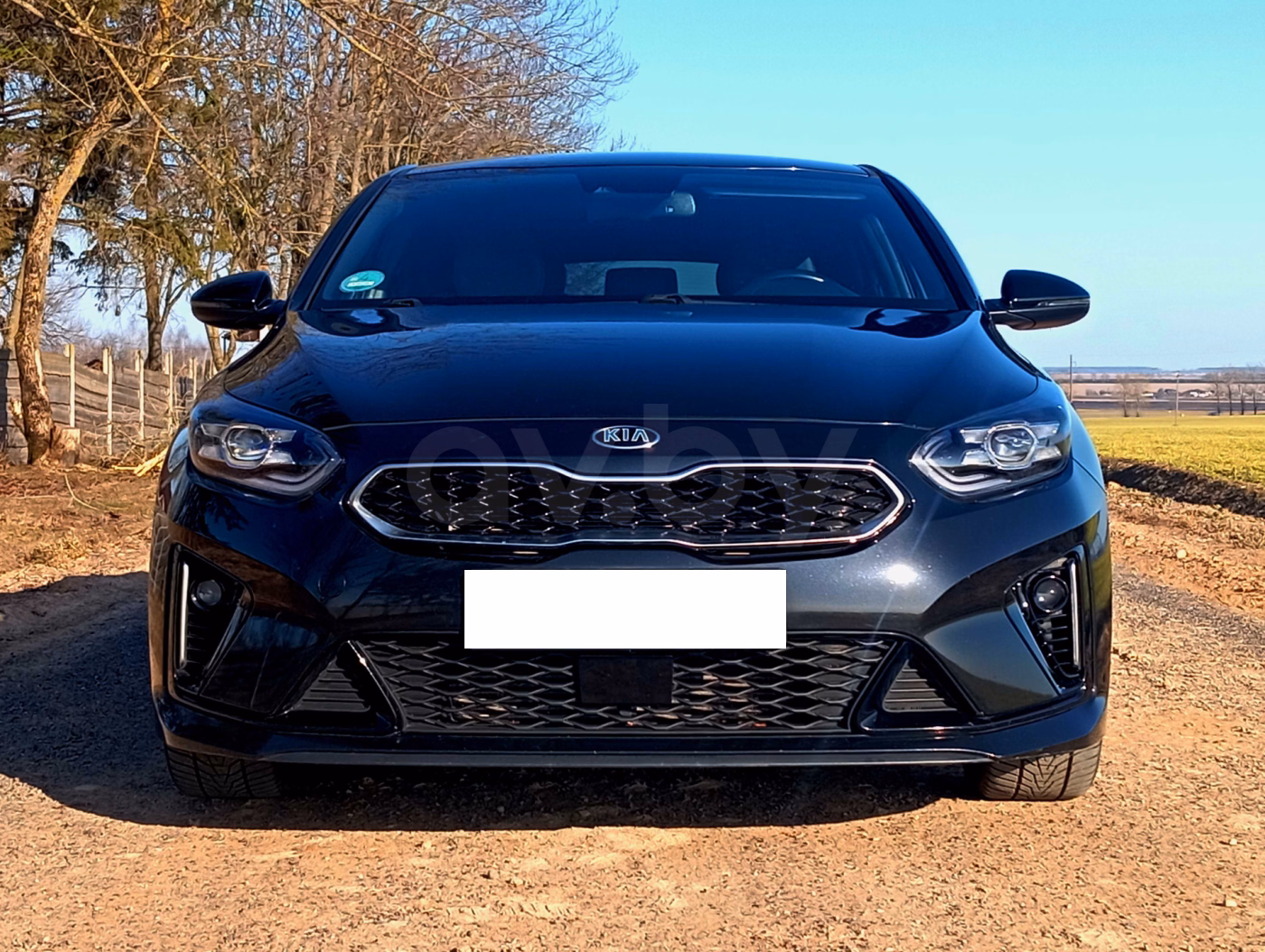 Kia ProCeed фото 6