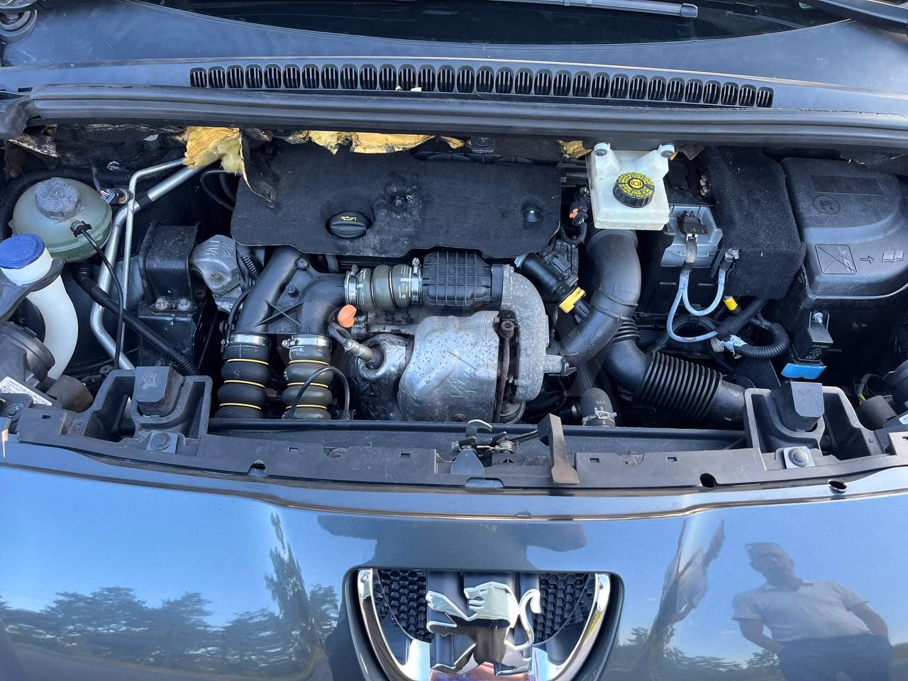 Peugeot 5008 фото 10