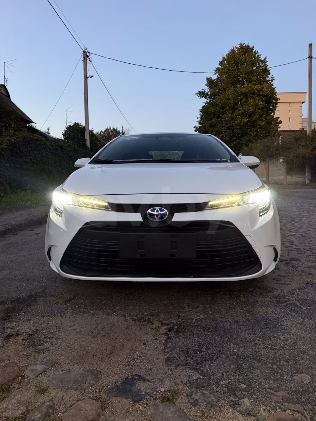 Toyota Corolla фото 2