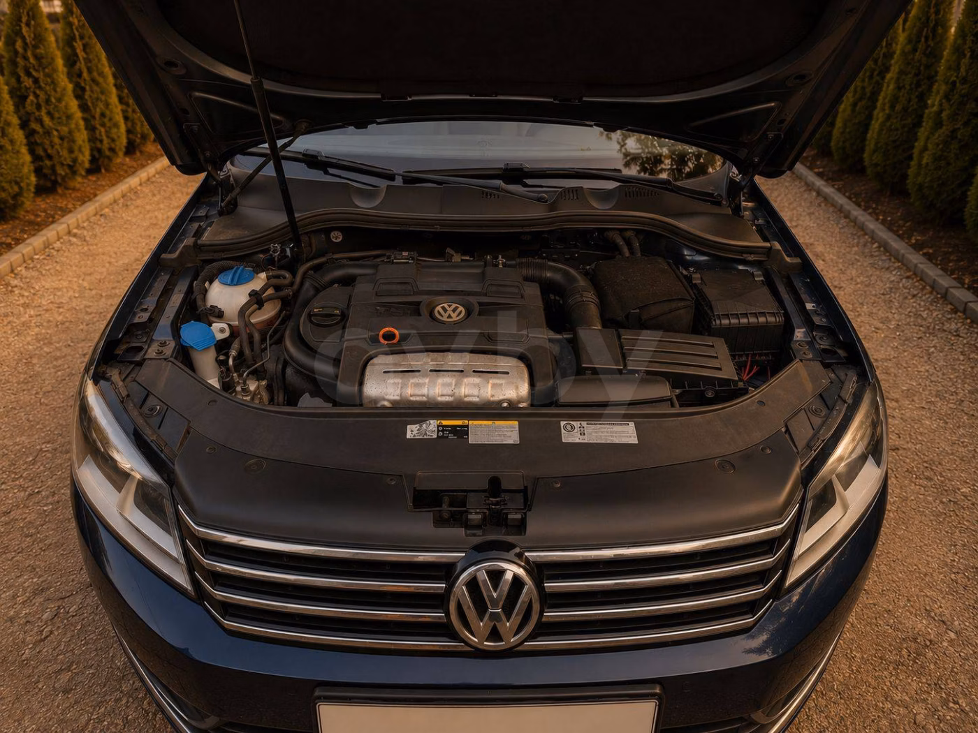 Volkswagen Passat фото 6