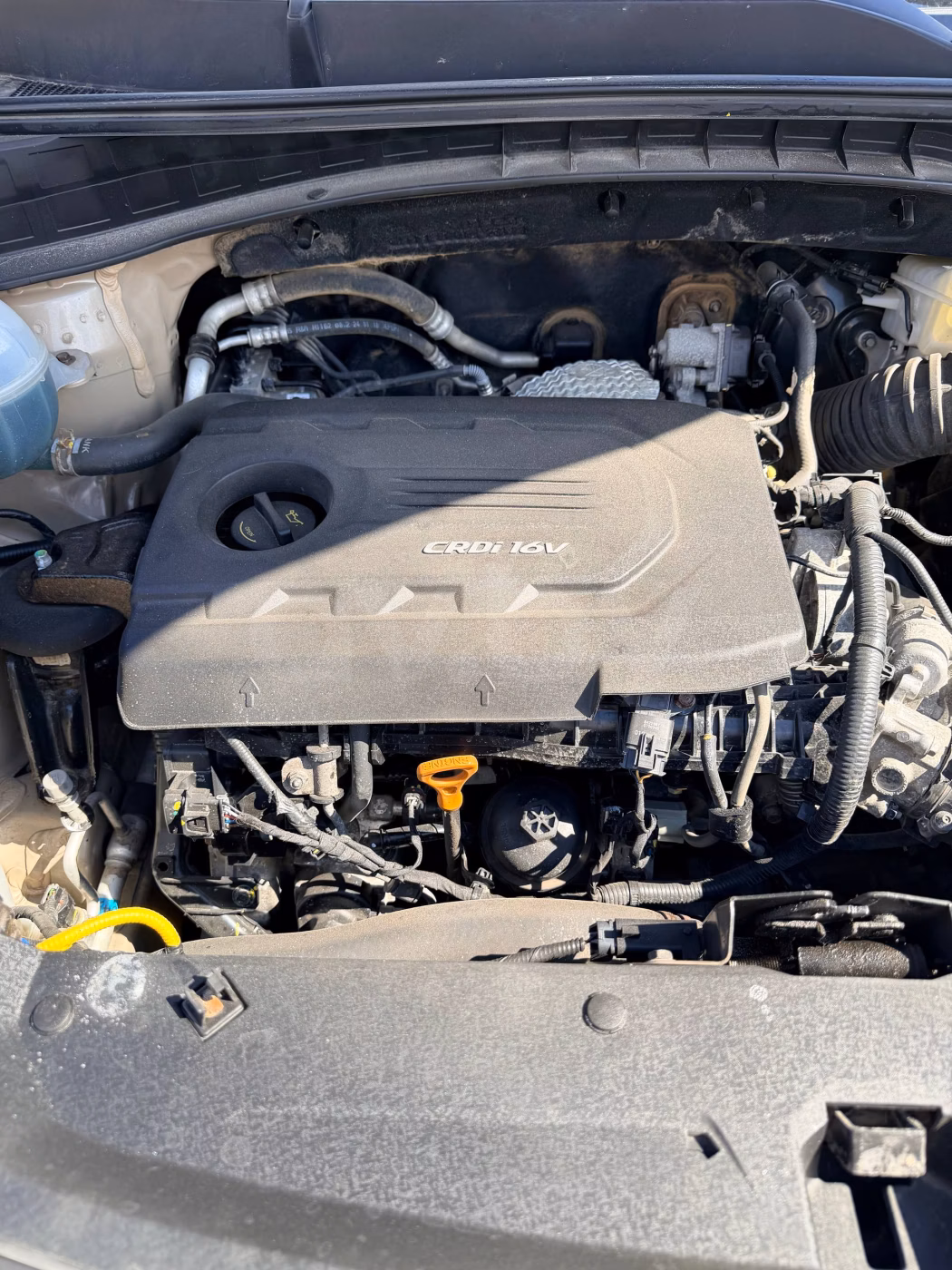 Kia Sportage фото 17