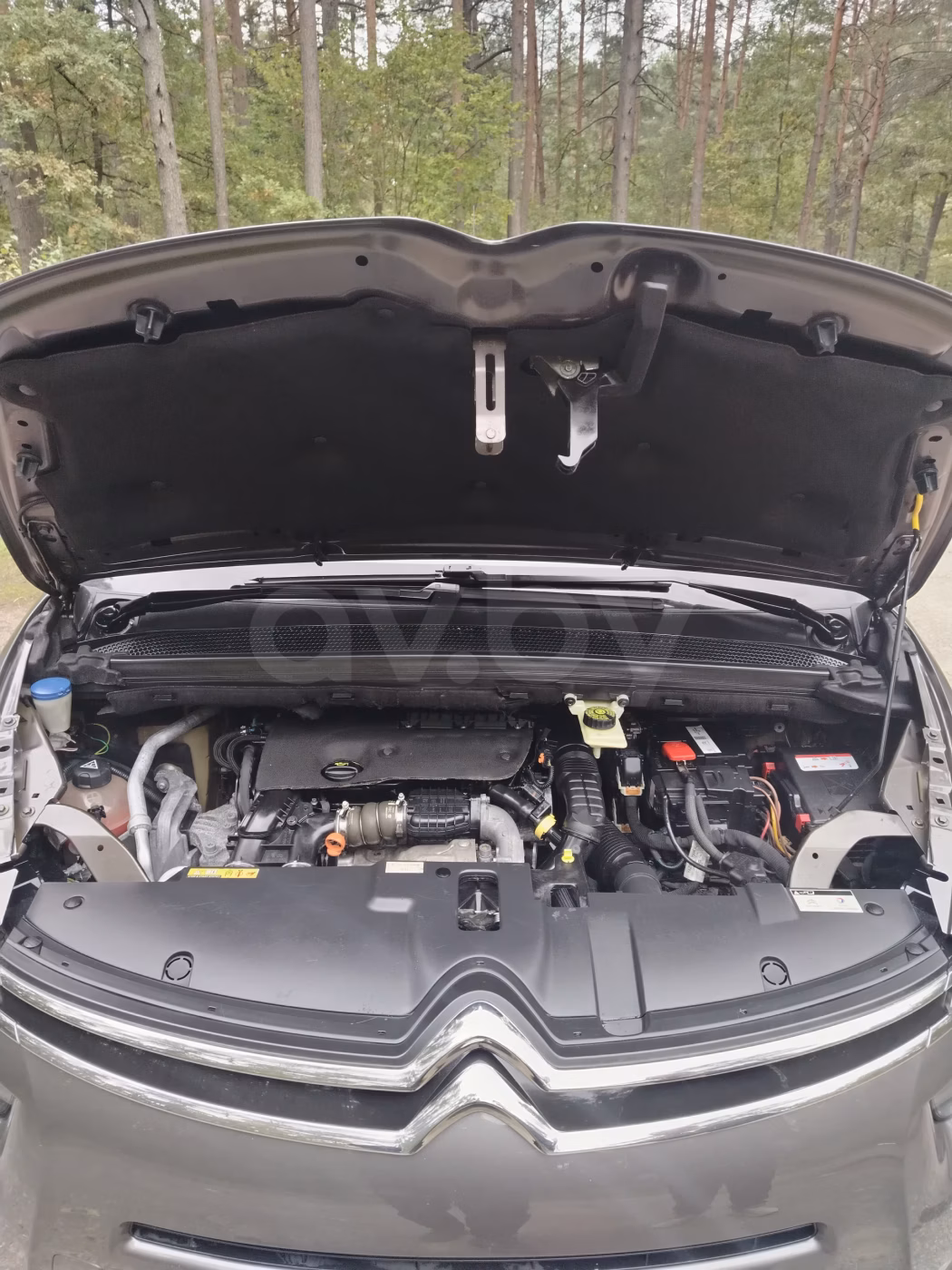 Citroen C4 Grand Picasso фото 13