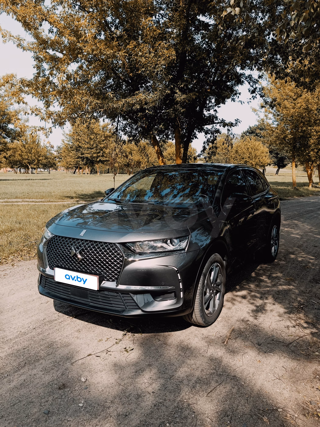 DS 7 Crossback фото 3