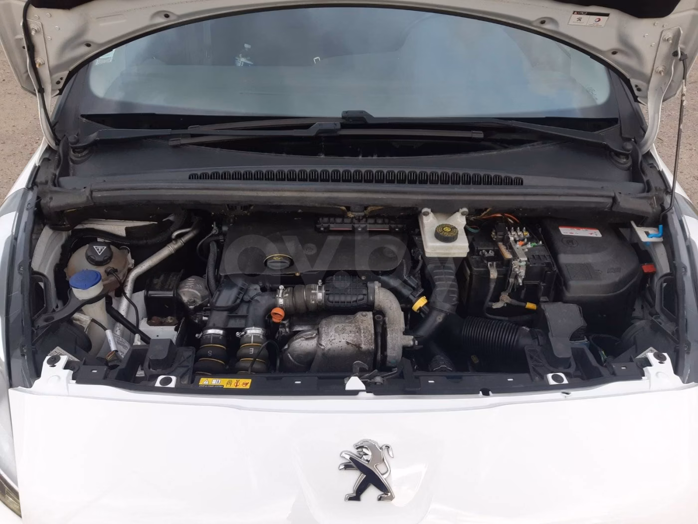 Peugeot 5008 фото 17