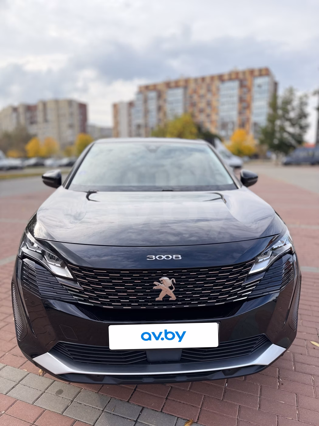 Peugeot 3008 фото 8