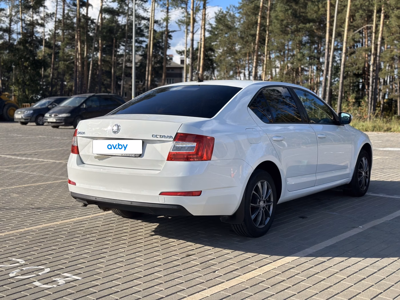 Skoda Octavia фото 4