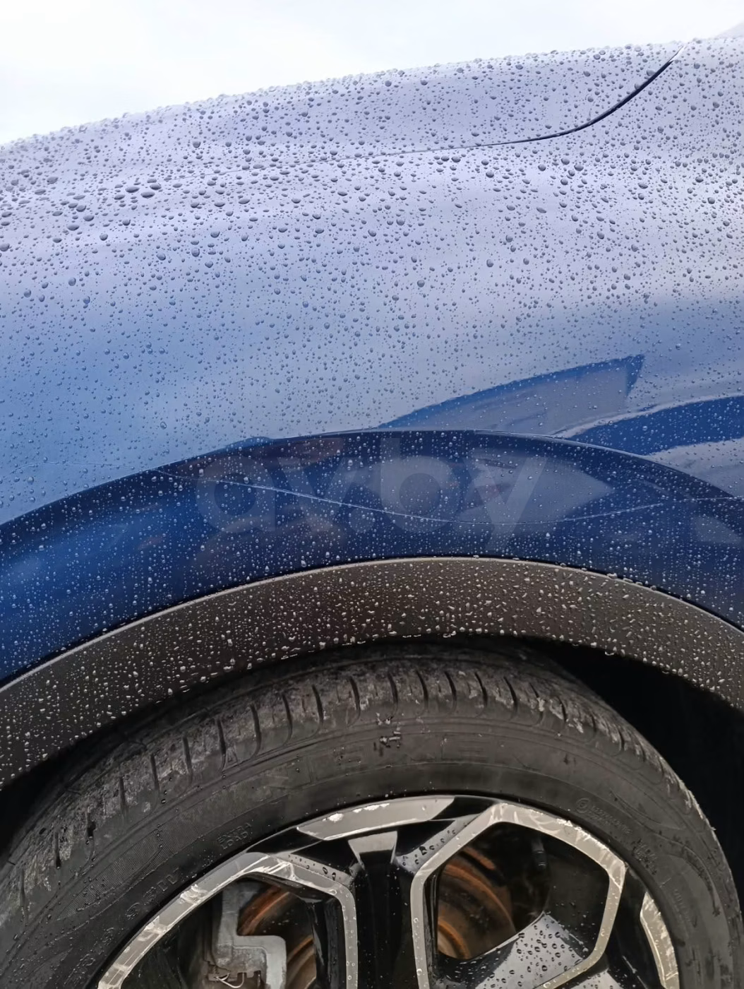 Renault Kadjar фото 18
