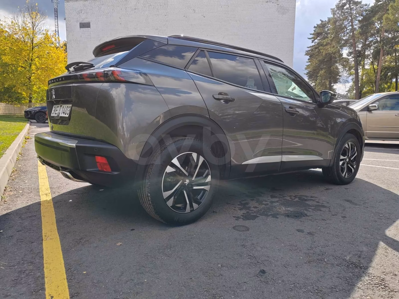 Peugeot 2008 фото 8