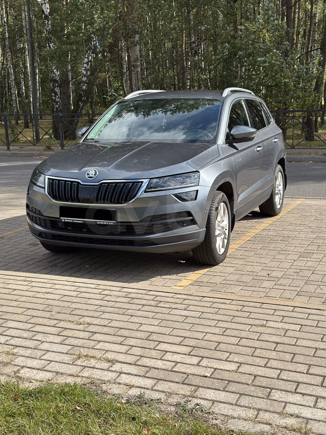Skoda Karoq фото 2