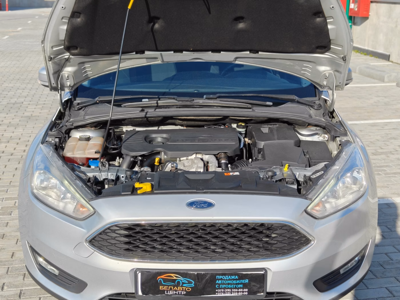 Ford Focus фото 6