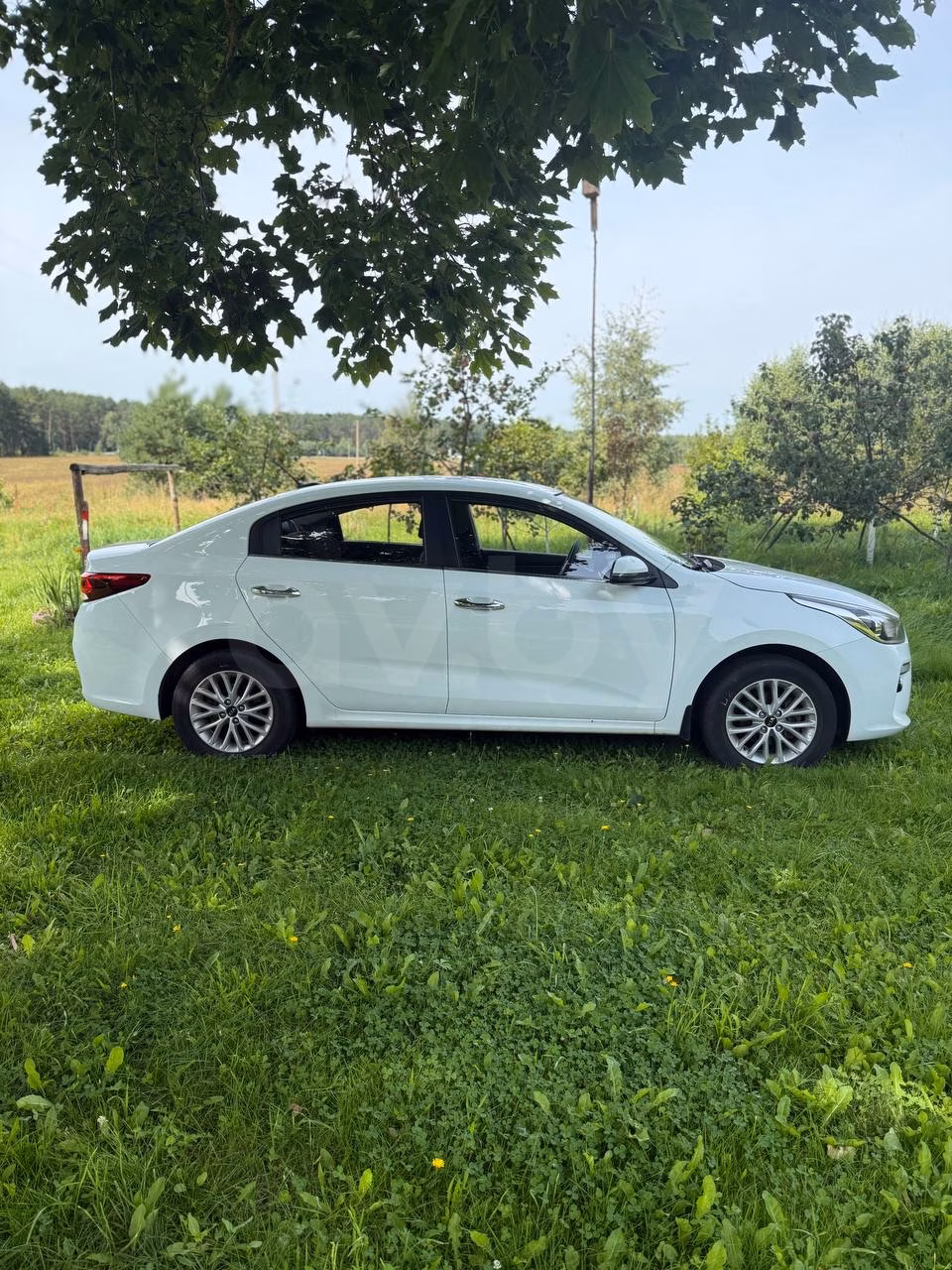 Kia Rio фото 4