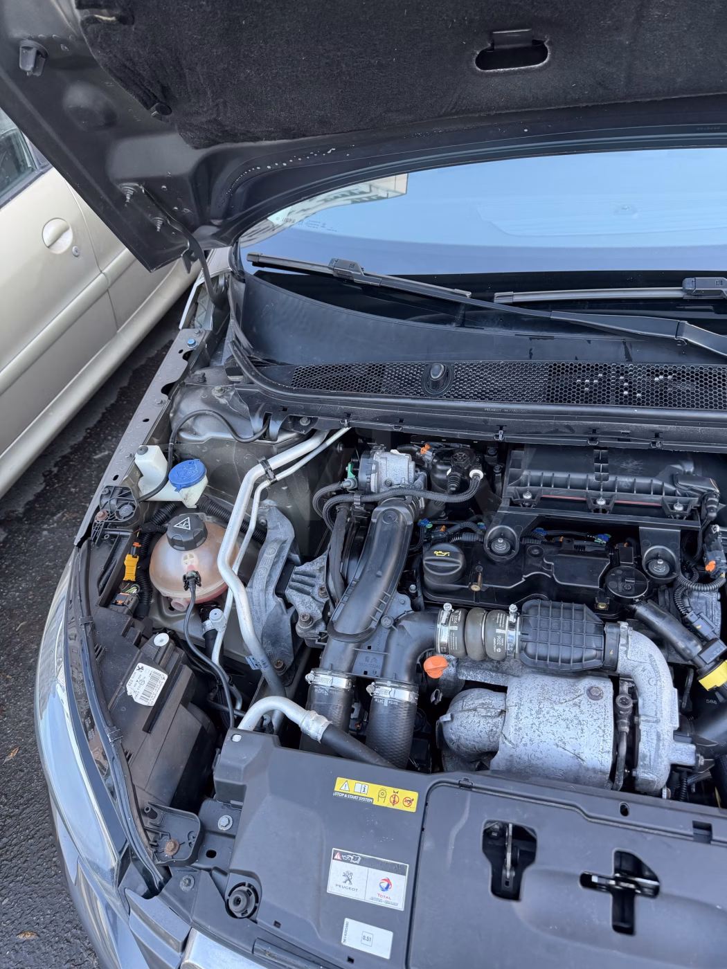 Peugeot 308 фото 11