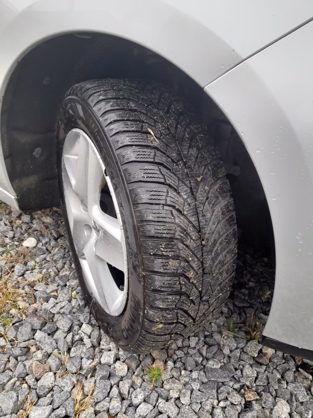 Renault Scenic фото 6