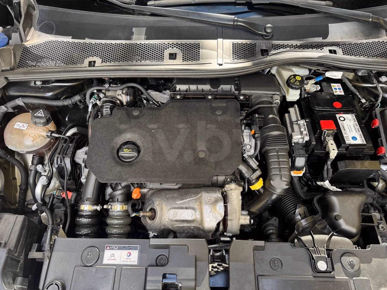 Citroen C4 фото 17