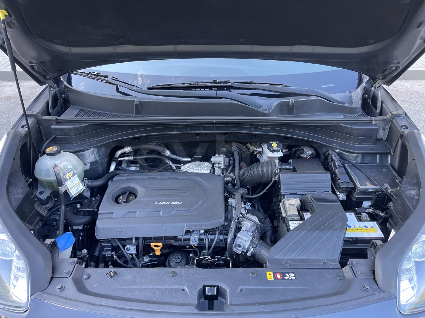 Kia Sportage фото 17