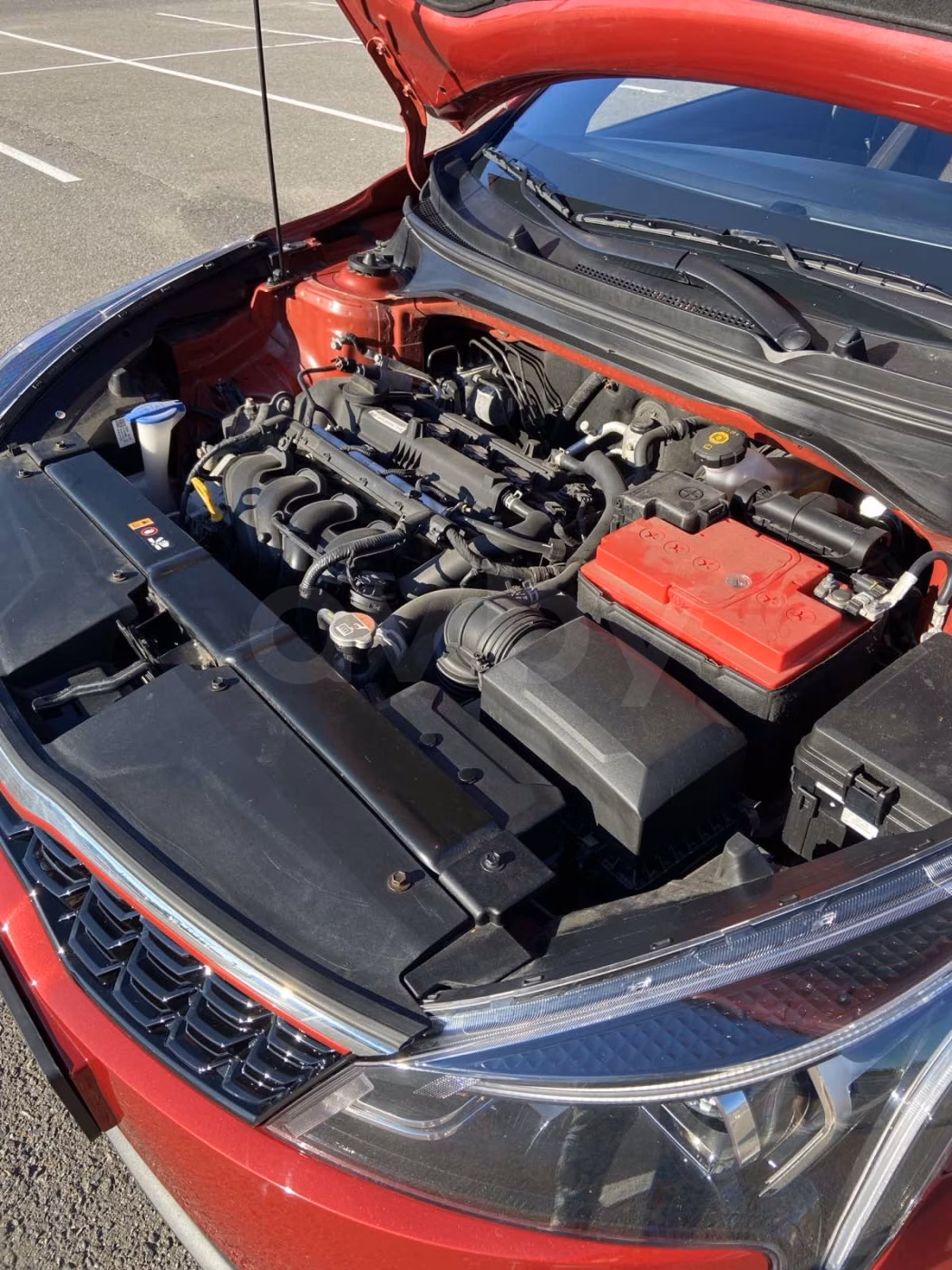Kia Rio фото 13