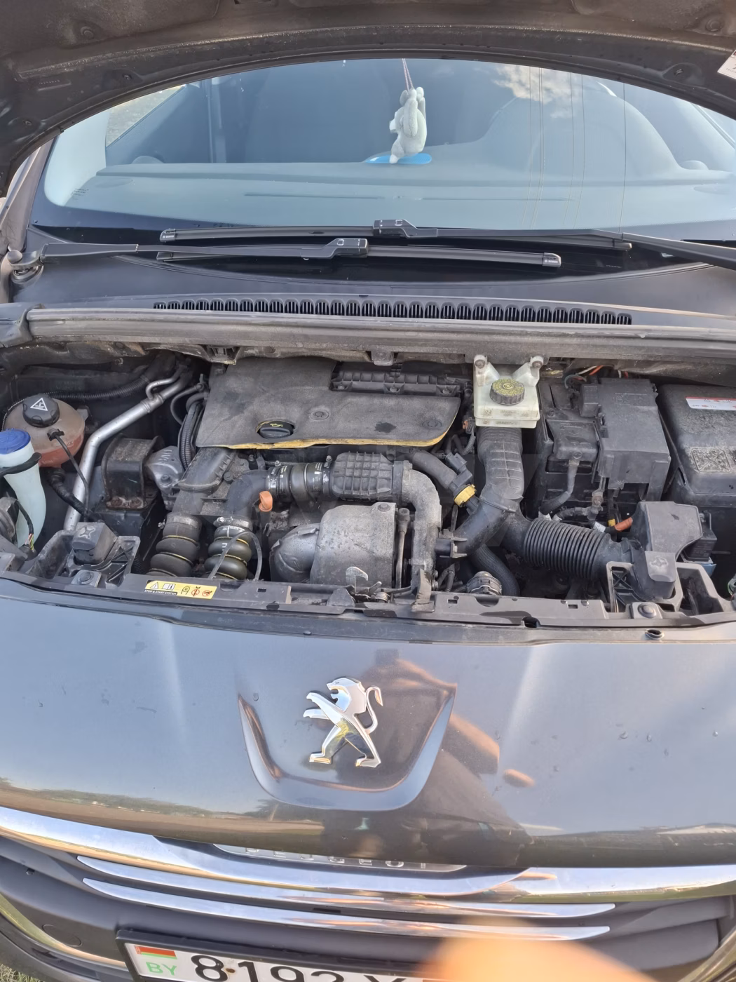 Peugeot 5008 фото 5