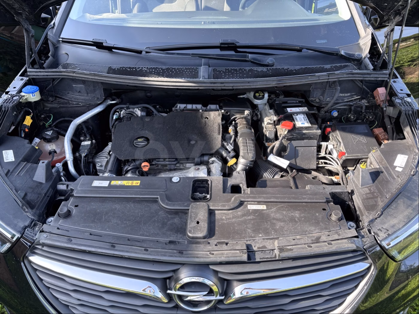 Opel Grandland X фото 9