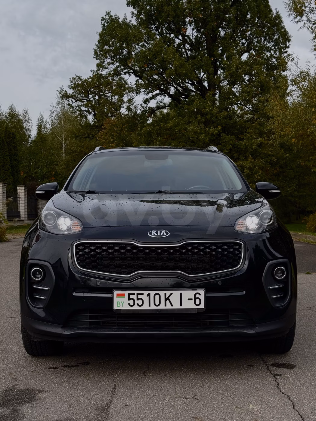Kia Sportage фото 14