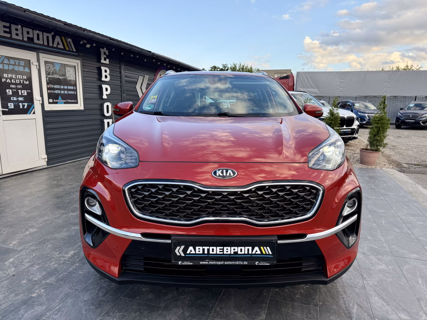 Kia Sportage фото 3