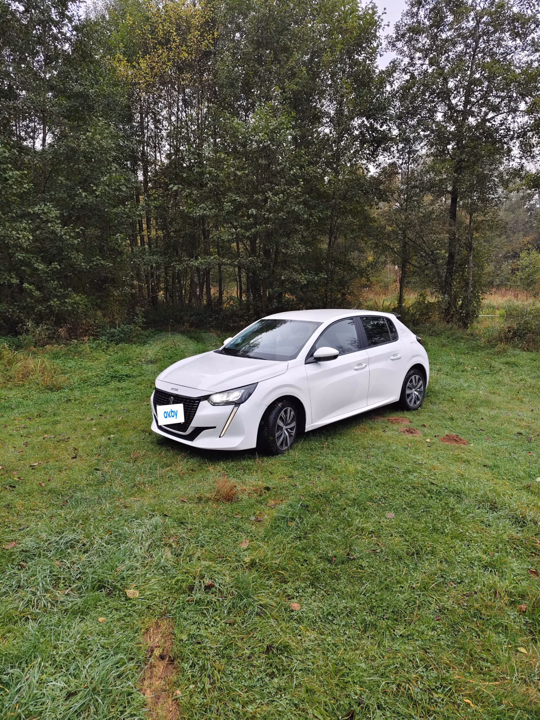 Peugeot 208 фото 9