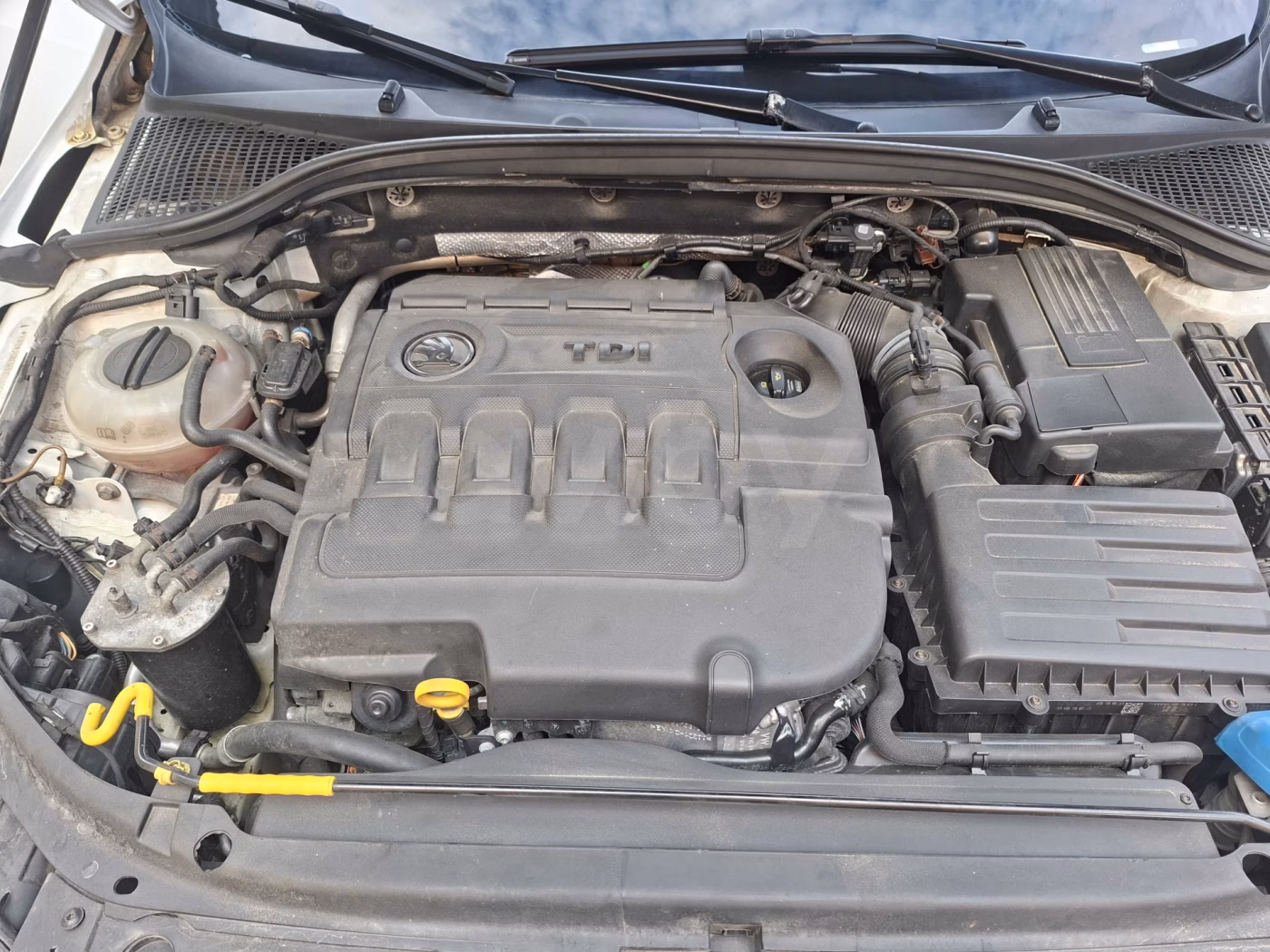 Skoda Octavia фото 16