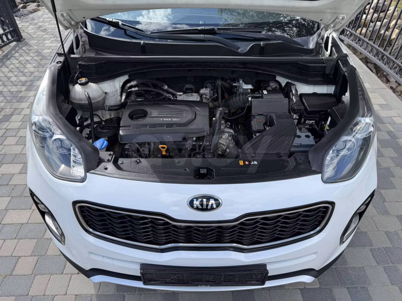 Kia Sportage фото 6